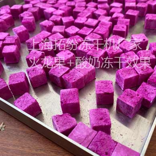 水果味凍干酸奶塊