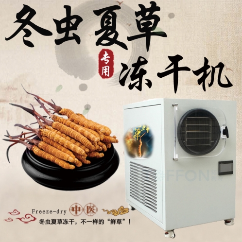 蟲草凍干機(jī)-蟲草冷凍干燥機(jī)-食品凍干機(jī)-蟲草冷凍式干燥機(jī)-上海拓紛制冷凍干機(jī)設(shè)備廠