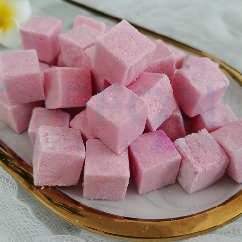 酸奶塊凍干機(jī)，食品真空冷凍干燥應(yīng)用案例