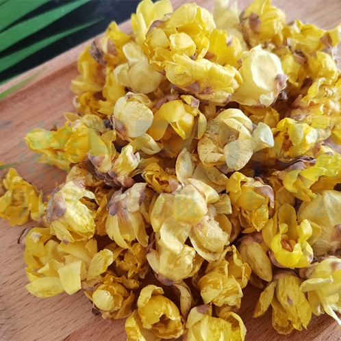 臘梅花凍干，食品凍干機(jī)應(yīng)用于臘梅花凍干案例