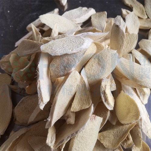 姜片凍干，食品真空冷凍干燥機用于生姜凍干