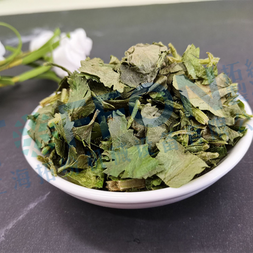香菜凍干，香菜凍干技術(shù)和食品凍干機結(jié)構(gòu)介紹