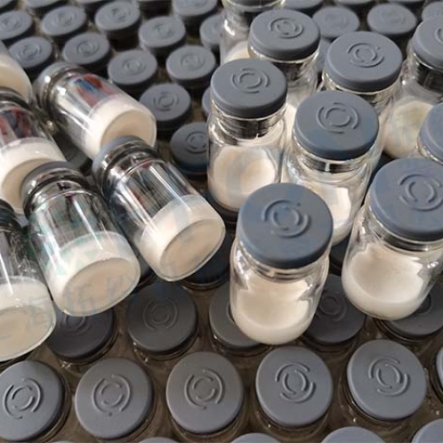 粉針劑凍干機：生物制藥凍干機在粉針劑凍干加工應用