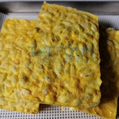 百香果凍干：水果茶真空冷凍干燥機(jī)應(yīng)用