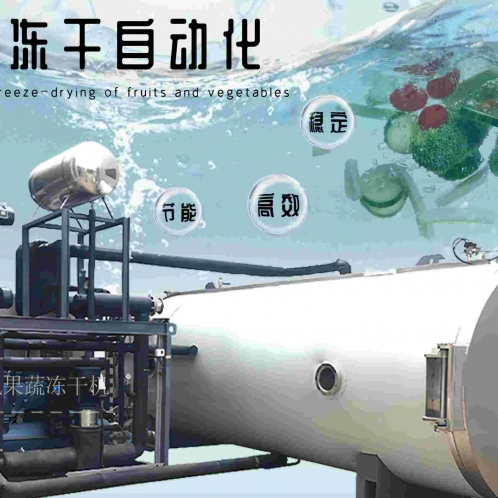 凍干技術(shù)如何改善的食品浪費問題？