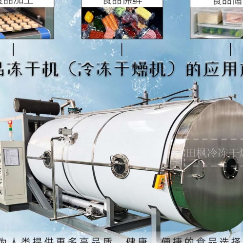 高效能凍干機(jī)如何影響食品營養(yǎng)價值？
